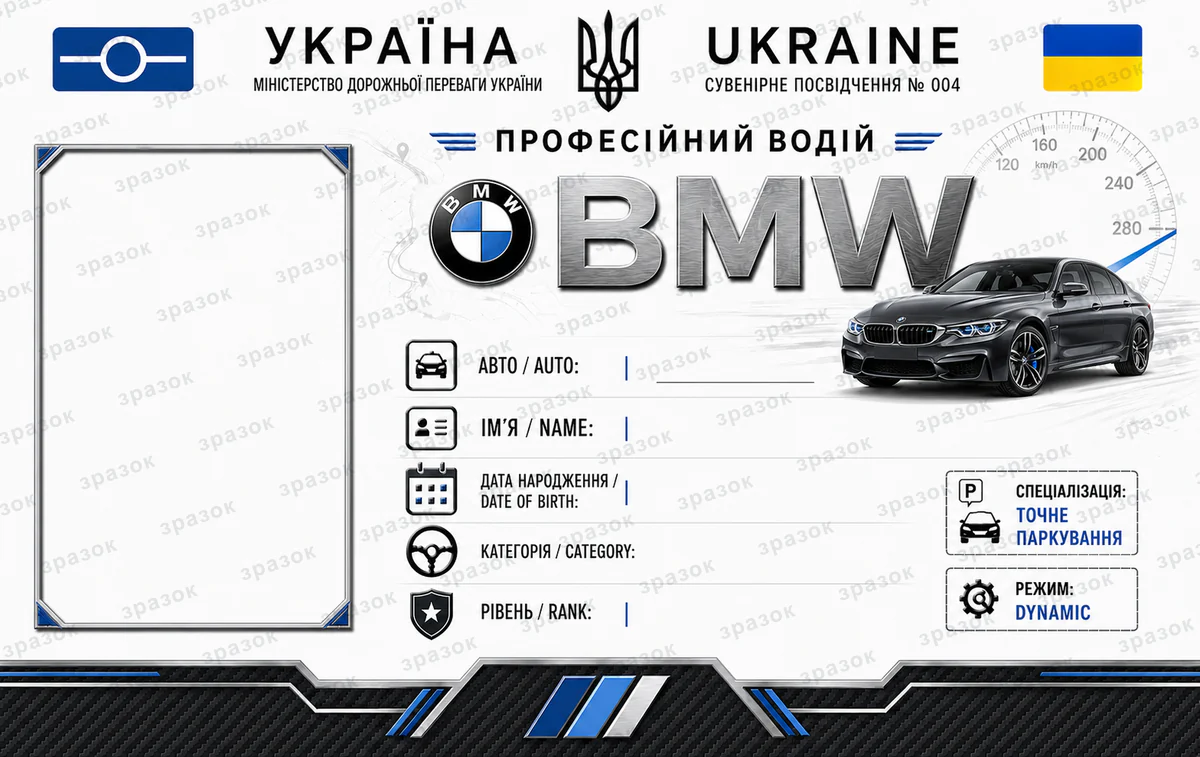 BMW Driver ID